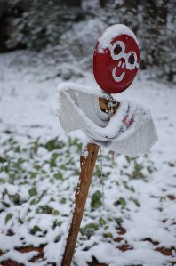 My friend is still in the garden.